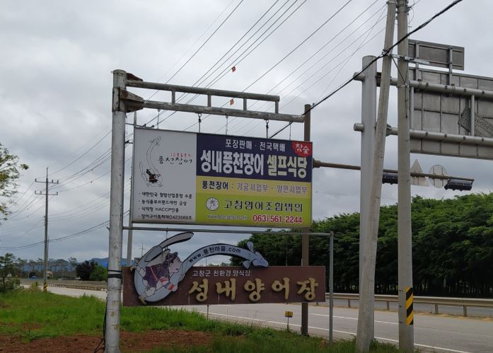 [고창 맛집] 전현무계획 3 복분자 먹은 풍천장어 구이, 고창 성내장어셀프 노포 맛집