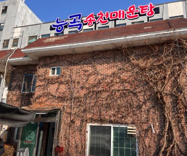 능곡송천매운탕: 생생정보가 인증한 16년 전통 고양시 민물매운탕 맛집