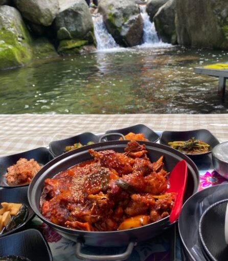 하동 신진식당 계곡 백숙 맛집 평상 자리 명당 및 예약 꿀팁 총정리