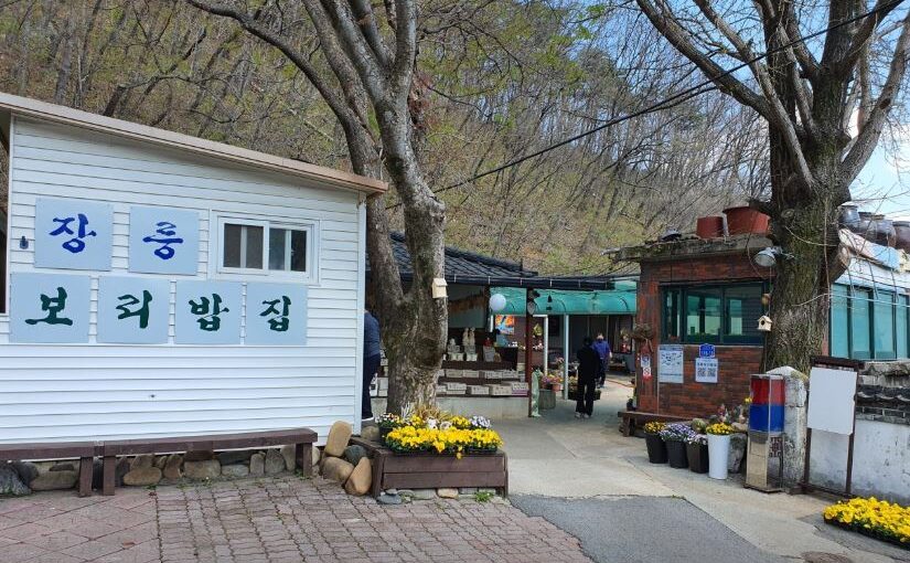[영월 맛집] 장릉보리밥집 – 6시 내고향 장항준 감독이 극찬한 시골 보리밥 노포