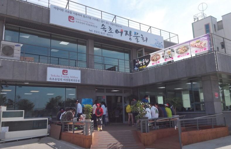 [속초맛집] 7월28일 MBC 오늘N 위대한 일터 소개! 고소한 들기름 비빔물회와 뚝배기 전복죽 ‘속초어장물회’