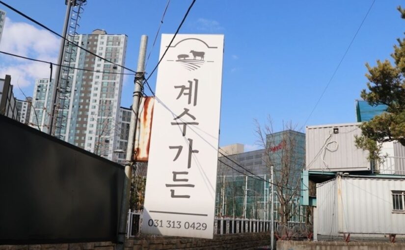 [시흥 맛집] 생생정보 숯불 향 가득한 양념 돼지갈비의 진수, ‘계수가든’ 총정리