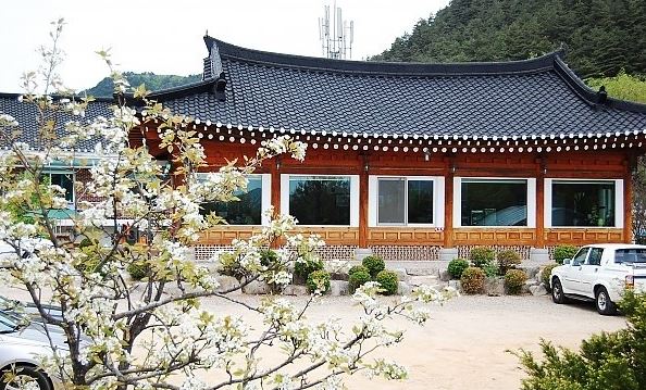 [평창 맛집] 유정식당 – 오늘N 할매식당 소개된 오대산 24가지 산채 정식 노포